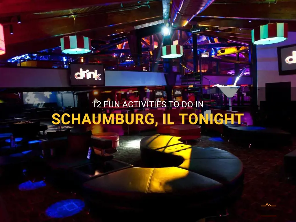 things to do in schaumburg il tonight