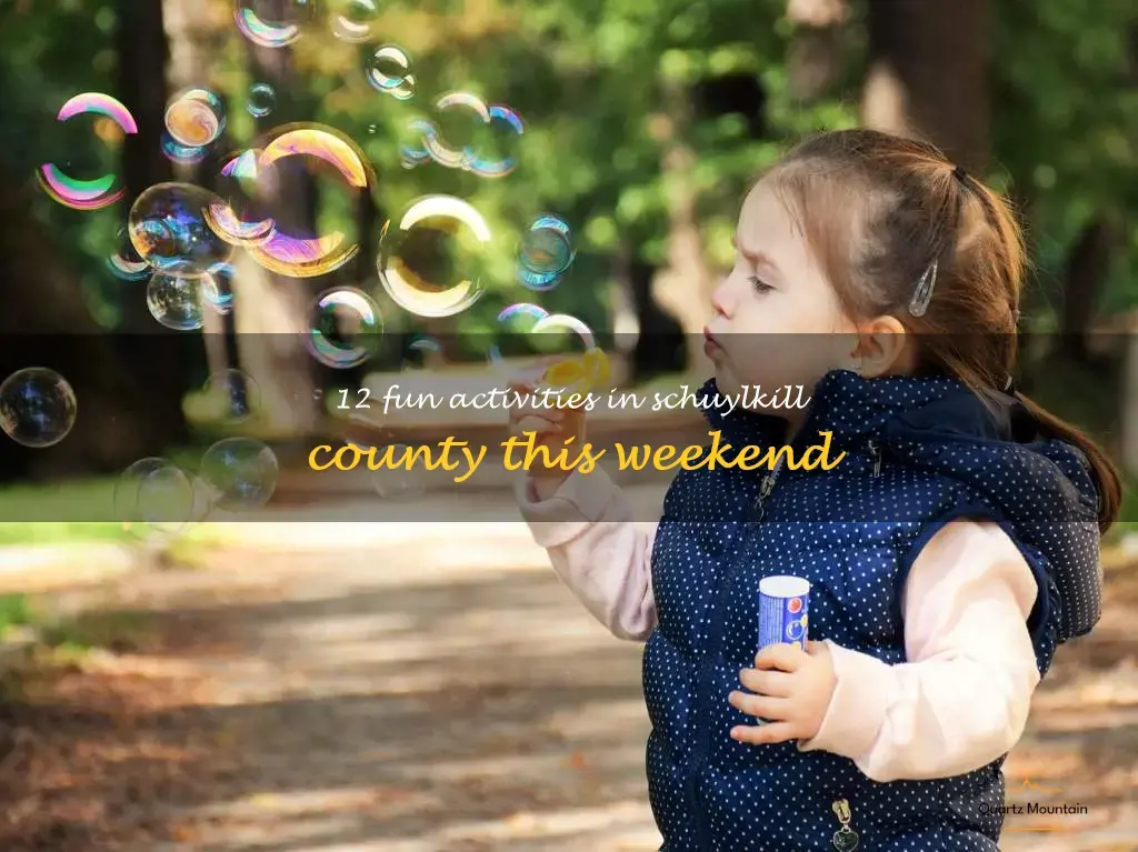 things to do in schuylkill county this weekend