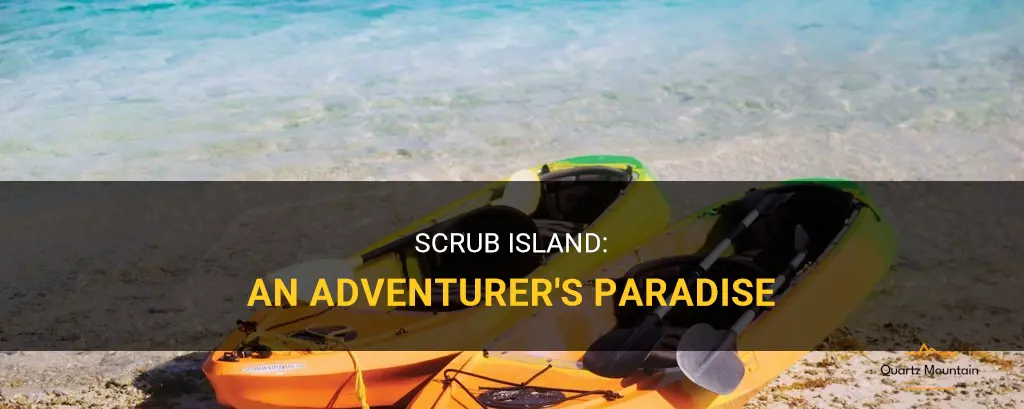 things to do in scrub island