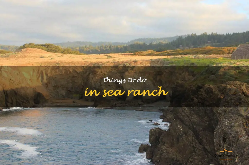 things to do in sea ranch