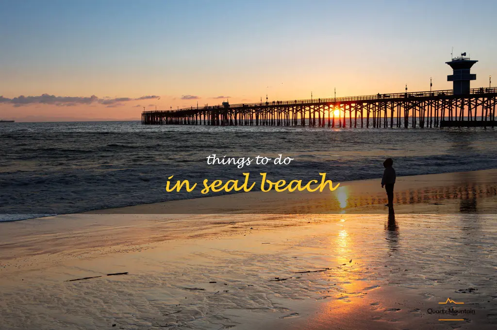things to do in seal beach