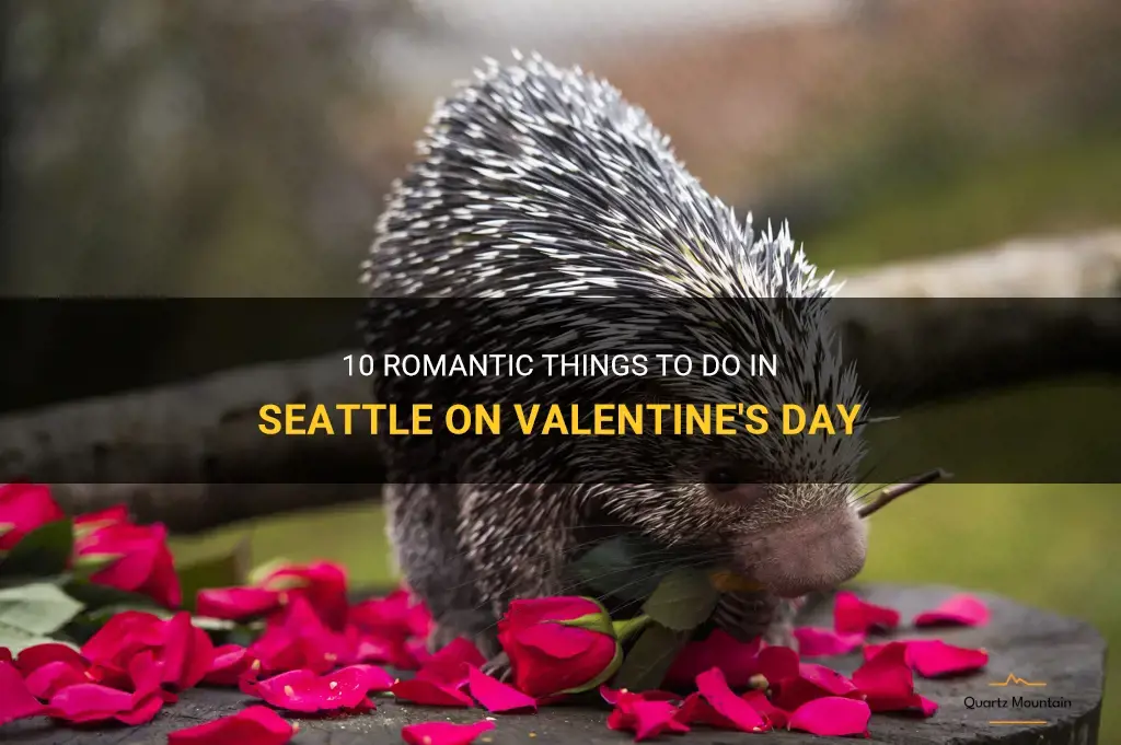 things to do in seattle on valentines day