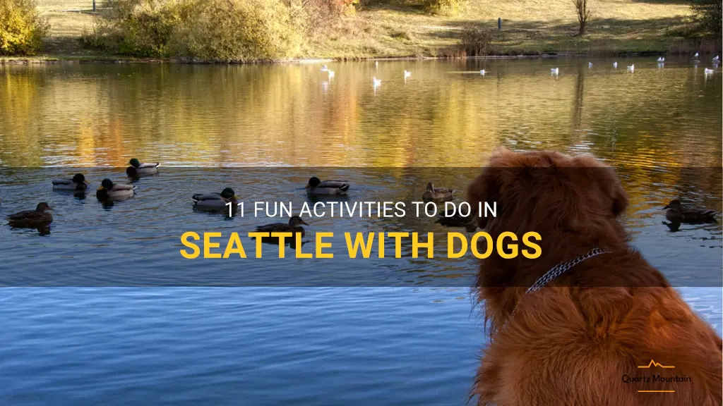 things to do in seattle with dogs