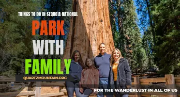 15 Must-Do Family Adventures in Sequoia National Park