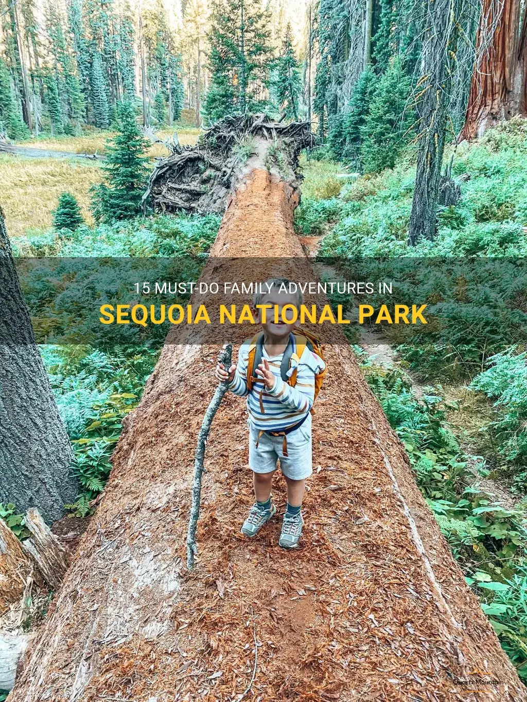 things to do in sequoia national park with family