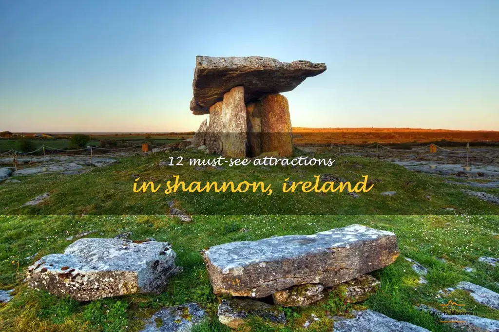 things to do in shannon ireland