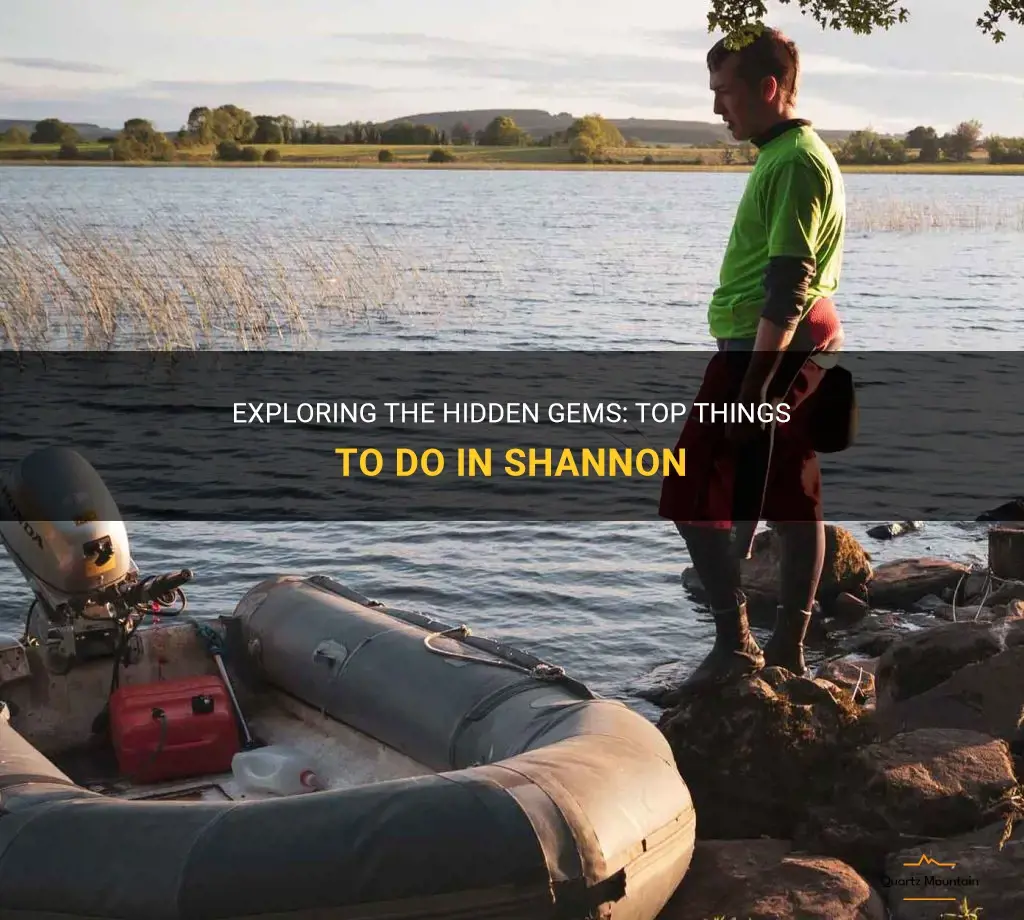 things to do in shannon