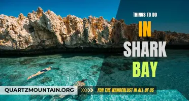 10 Must-Visit Attractions in Shark Bay: Exploring the Wonders of Western Australia