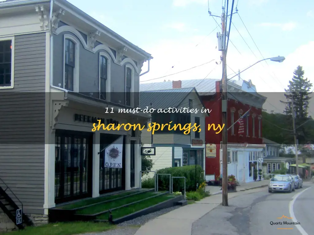 things to do in sharon springs ny