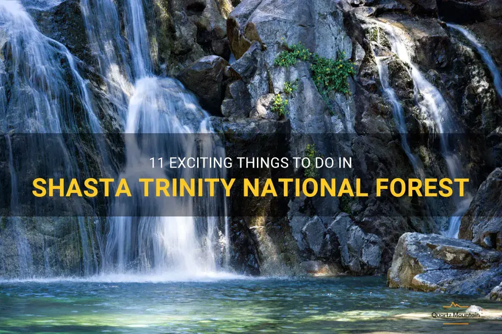 things to do in shasta trinity national forest
