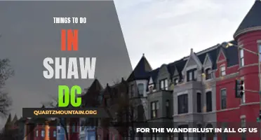 12 Must-Do's in Shaw DC: An Insider's Guide to the Neighborhood's Best Activities