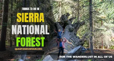 12 Best Activities to Experience in Sierra National Forest