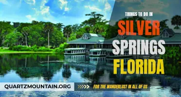 14 Fun Things to Do in Silver Springs, Florida