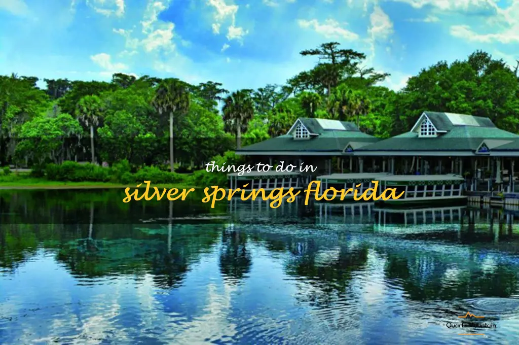 things to do in silver springs florida