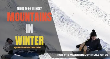 Winter Wonderland: Activities in the Smoky Mountains