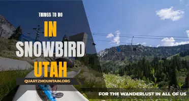 12 Must-Do Activities in Snowbird Utah
