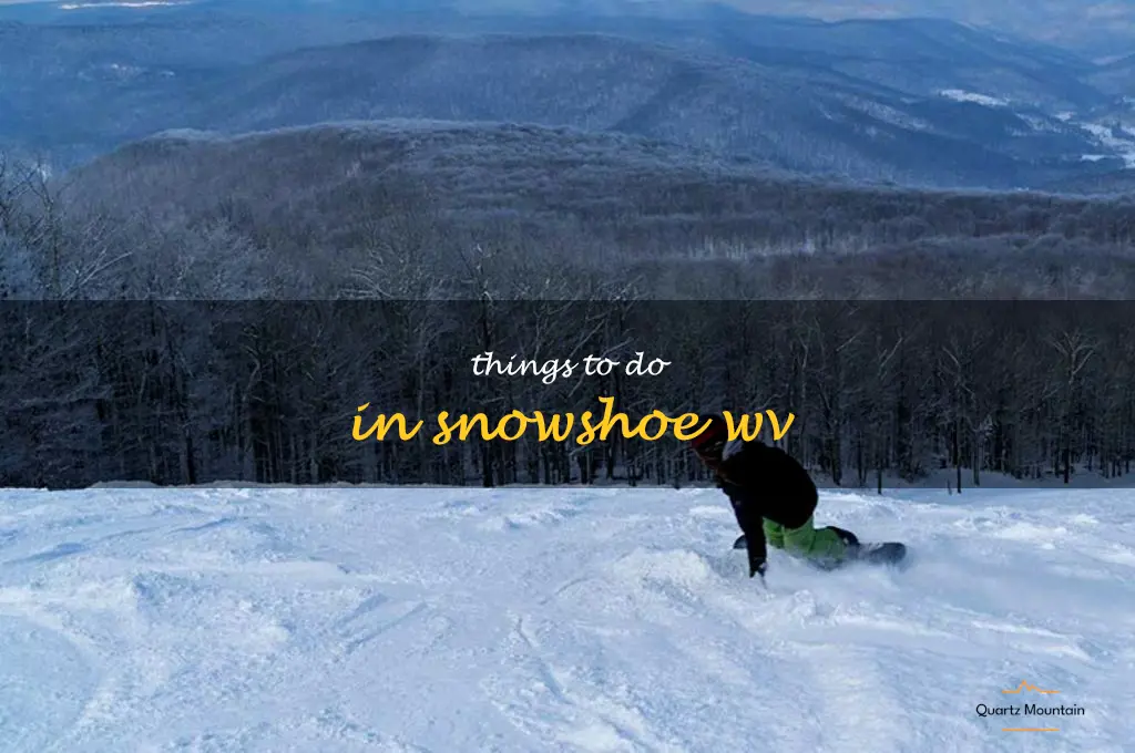 things to do in snowshoe wv