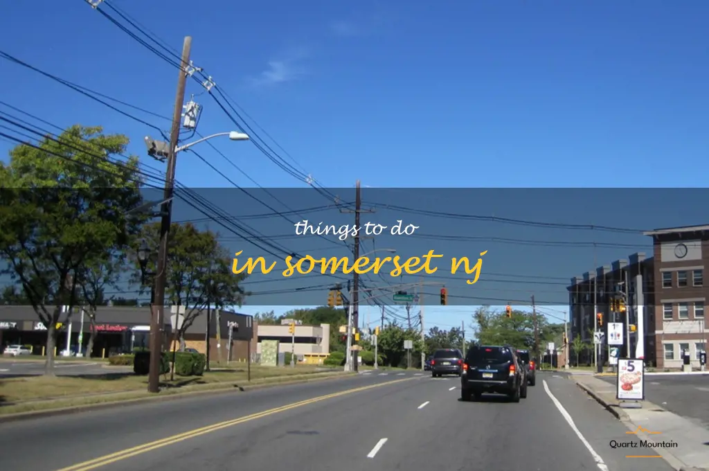 things to do in somerset nj