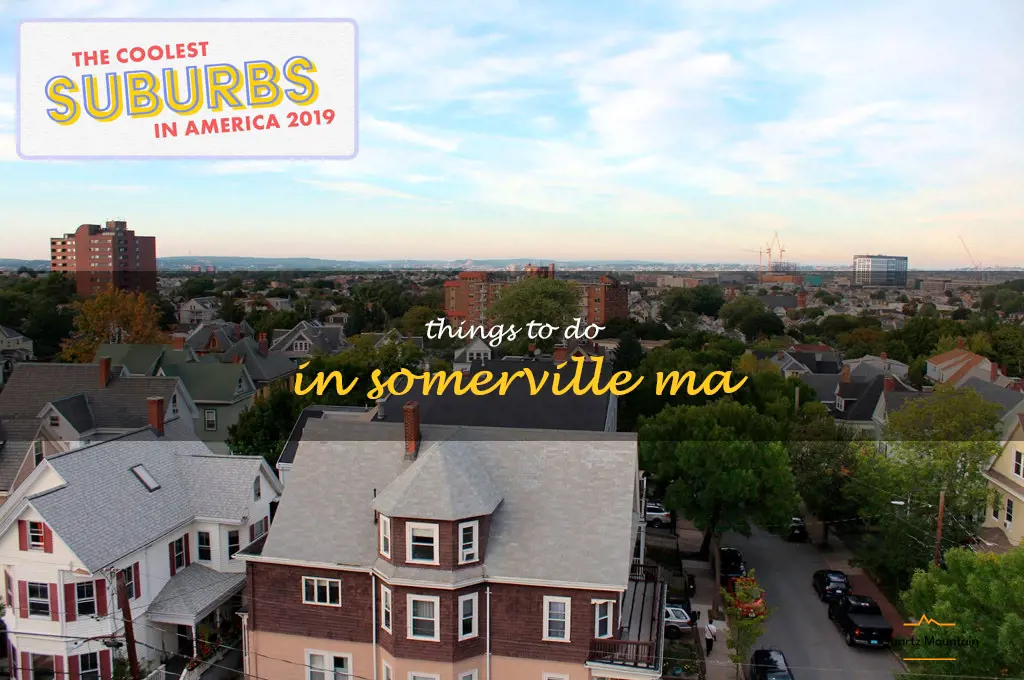 things to do in somerville ma