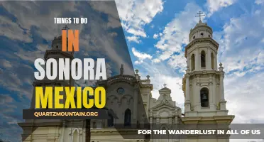 Exploring the Hidden Gems: Top Activities and Attractions in Sonora, Mexico