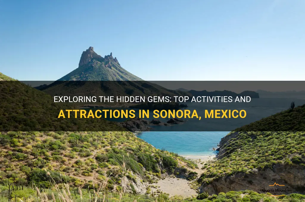 things to do in sonora mexico