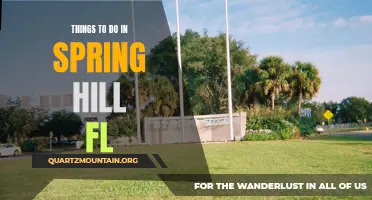 13 Fun Things to Do in Spring Hill, FL