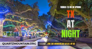 Nighttime Adventures: The Best Things to do in Spring, TX After Dark