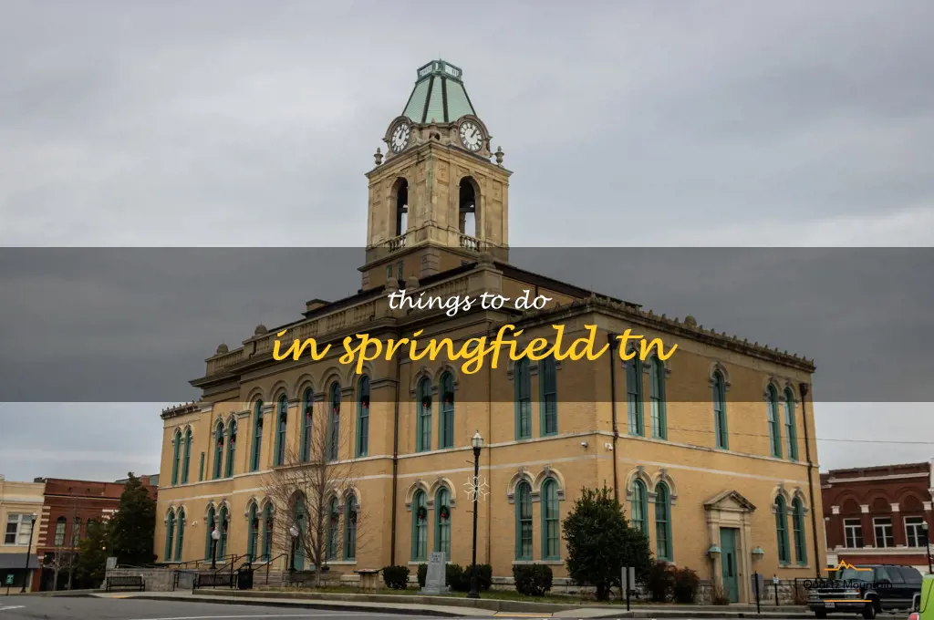 things to do in springfield tn