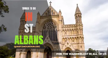 14 Fun Things to Do in St Albans: A Local's Guide