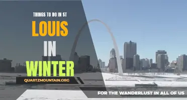 13 Fun Things to Do in St Louis This Winter