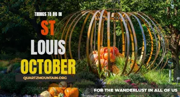 12 Exciting Things to Do in St. Louis in October