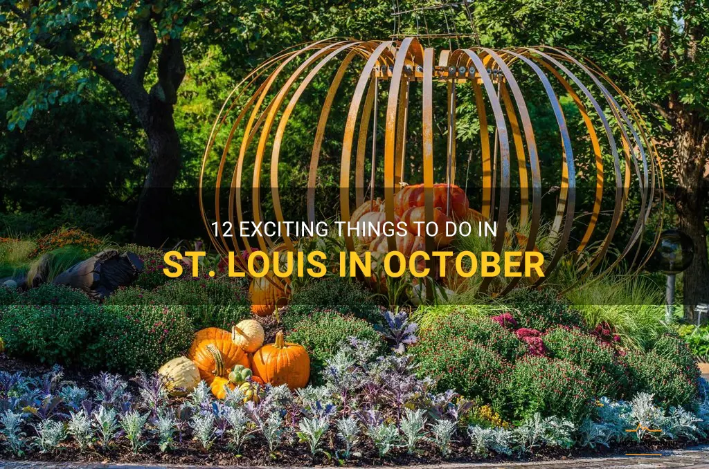things to do in st louis october