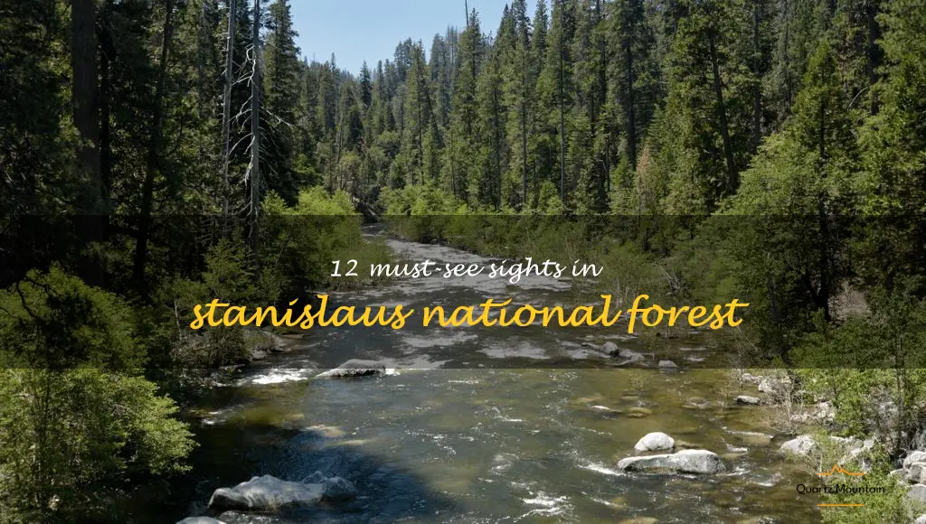things to do in stanislaus national forest
