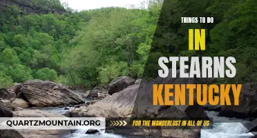 11 Exciting Things to Do in Stearns, Kentucky