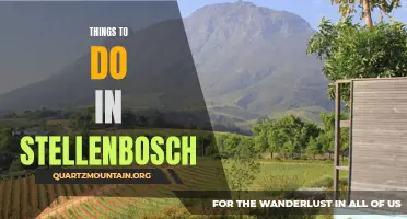 10 Must-Do Activities in Stellenbosch for a Perfect Day Out