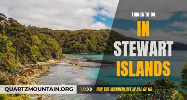 12 Must-Try Activities in Stewart Island for the Ultimate Adventure