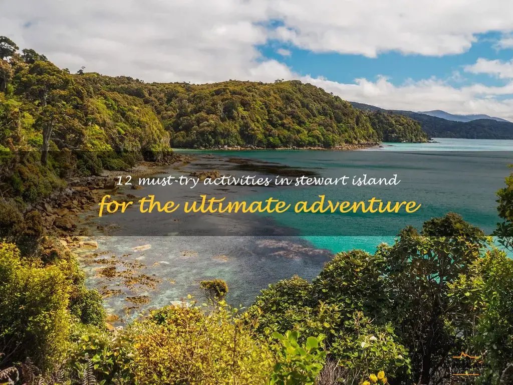 things to do in stewart islands