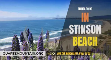 14 Fun Things to Do in Stinson Beach, California