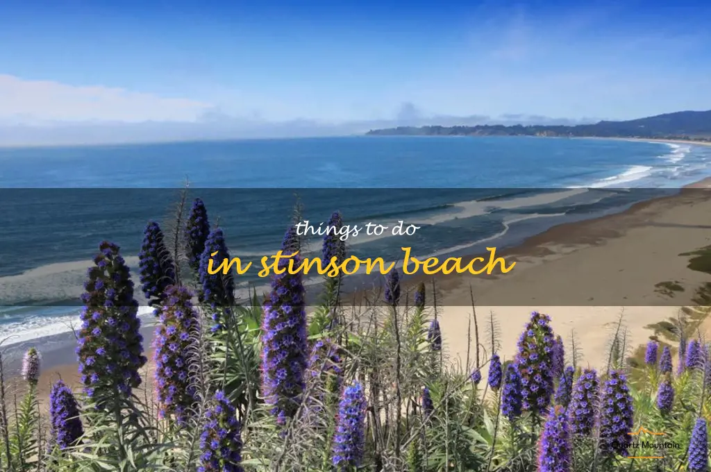 things to do in stinson beach