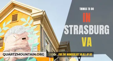 12 Unmissable Activities in Strasburg VA