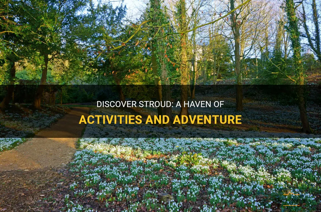 things to do in stroud