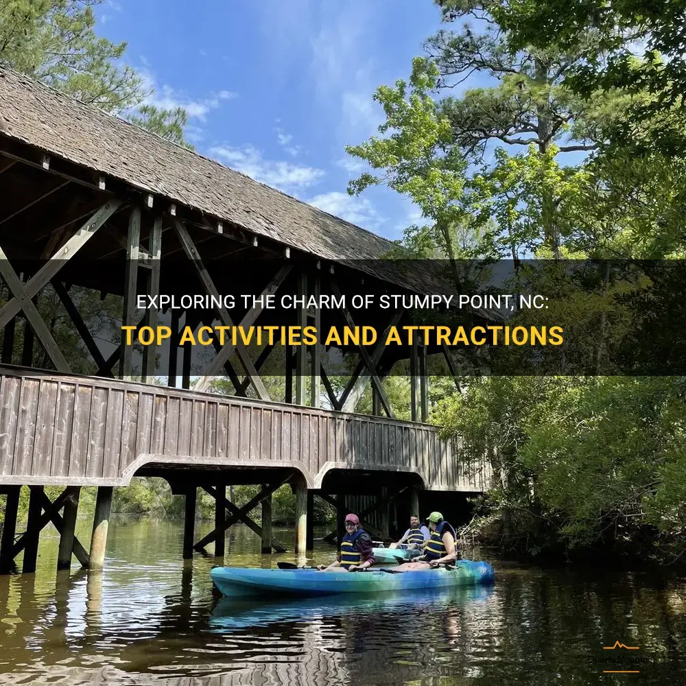things to do in stumpy point nc