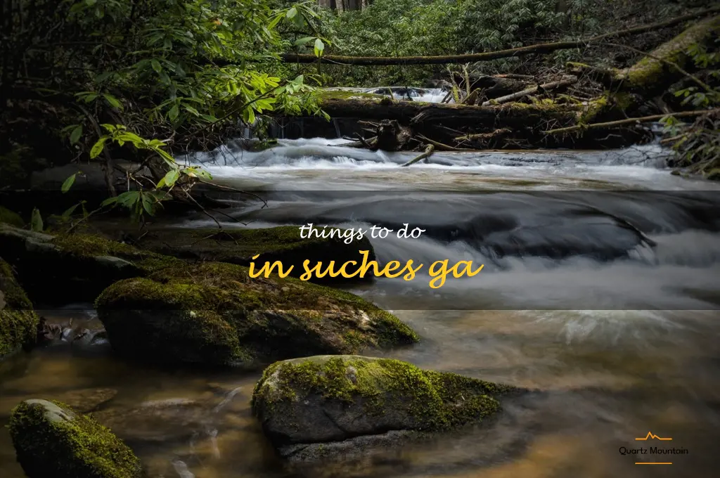 things to do in suches ga