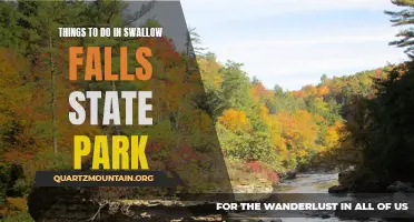 12 Fun Activities to Experience in Swallow Falls State Park