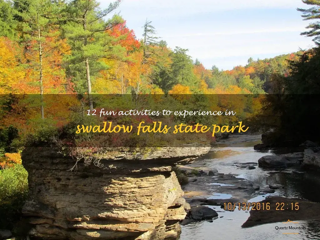 things to do in swallow falls state park