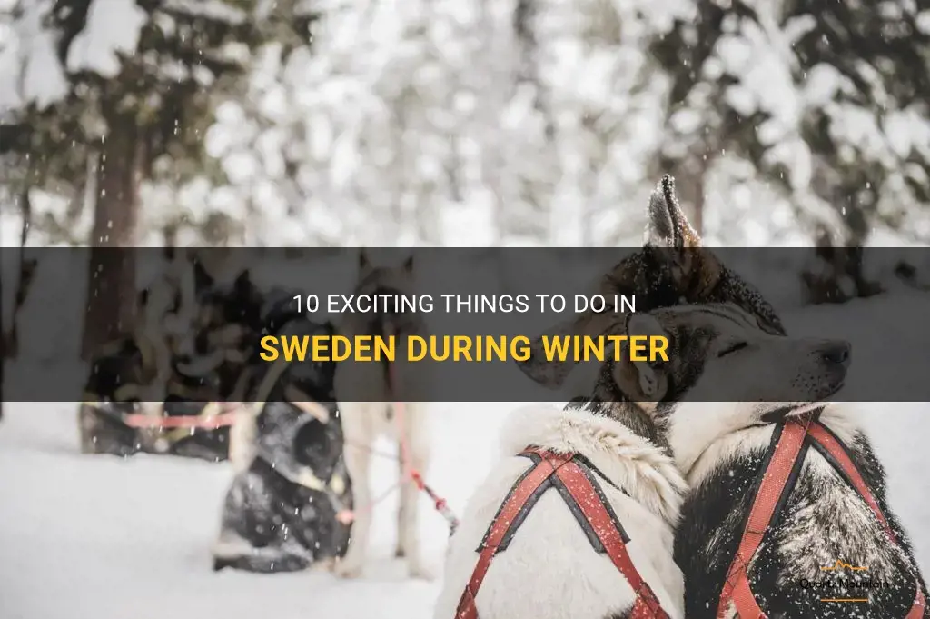 things to do in sweden in winter