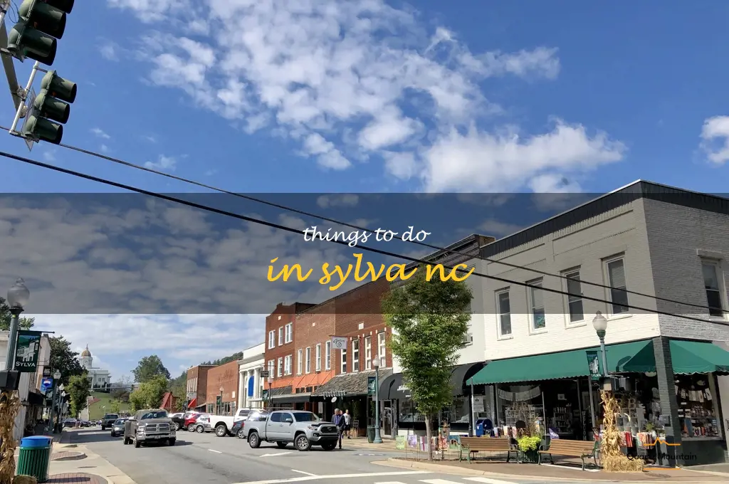 things to do in sylva nc