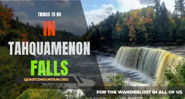 14 Fun Things to Do at Tahquamenon Falls