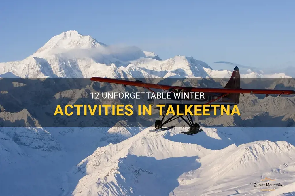 things to do in talkeetna winter