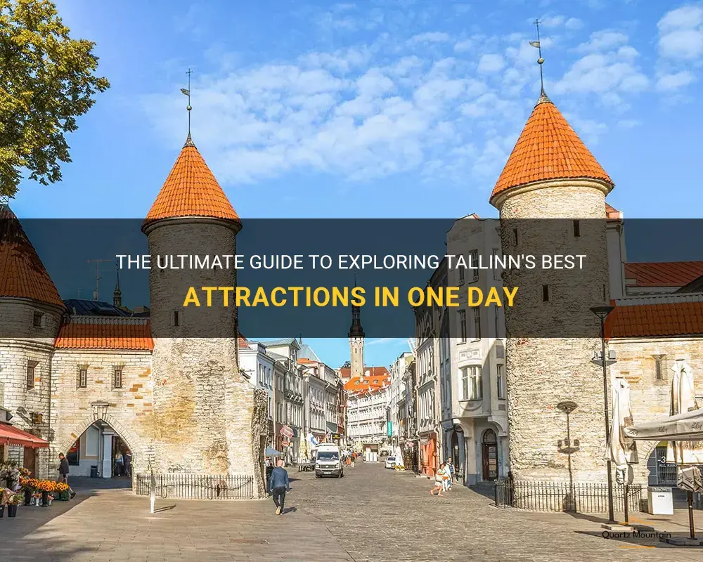 things to do in tallinn in one day